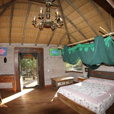 Shiva Villa Пунта дел Есте Екстериор снимка