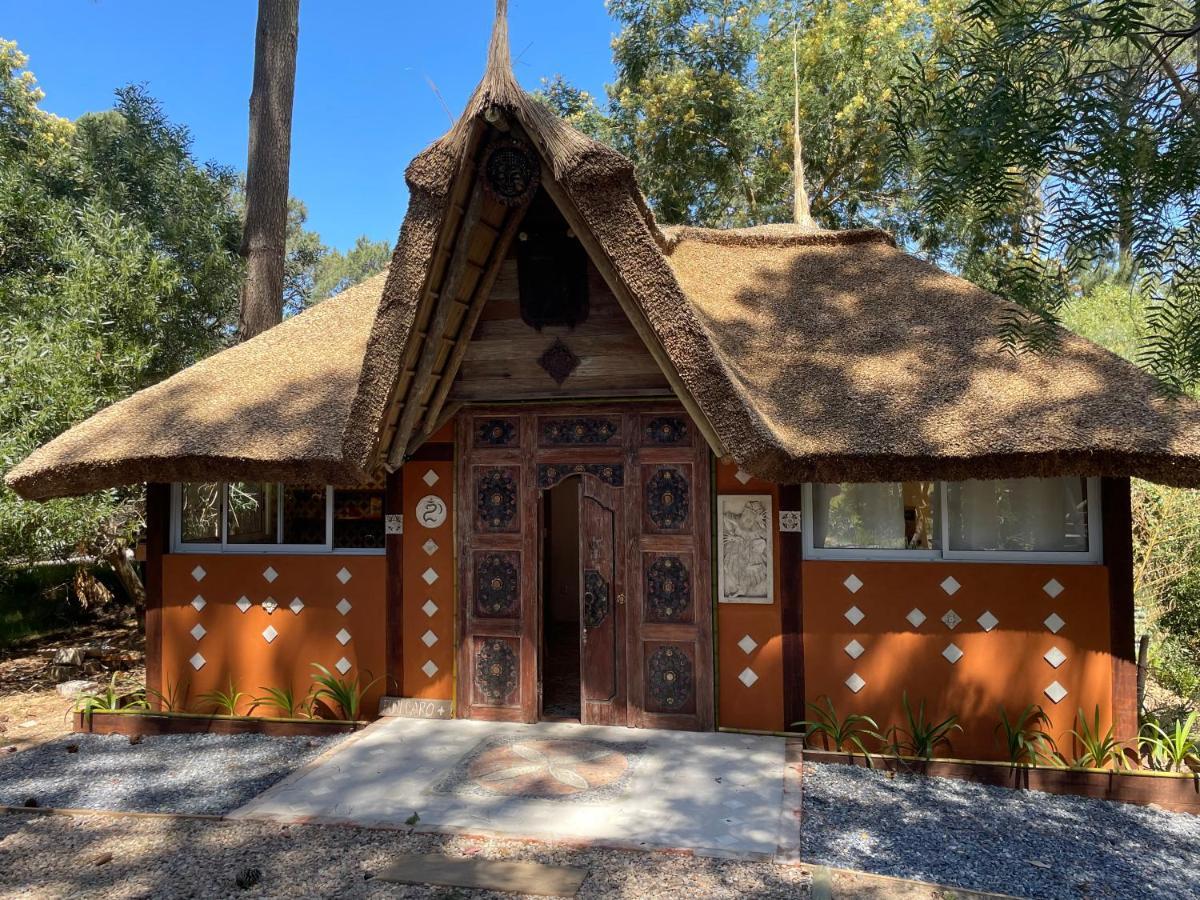 Shiva Villa Пунта дел Есте Екстериор снимка
